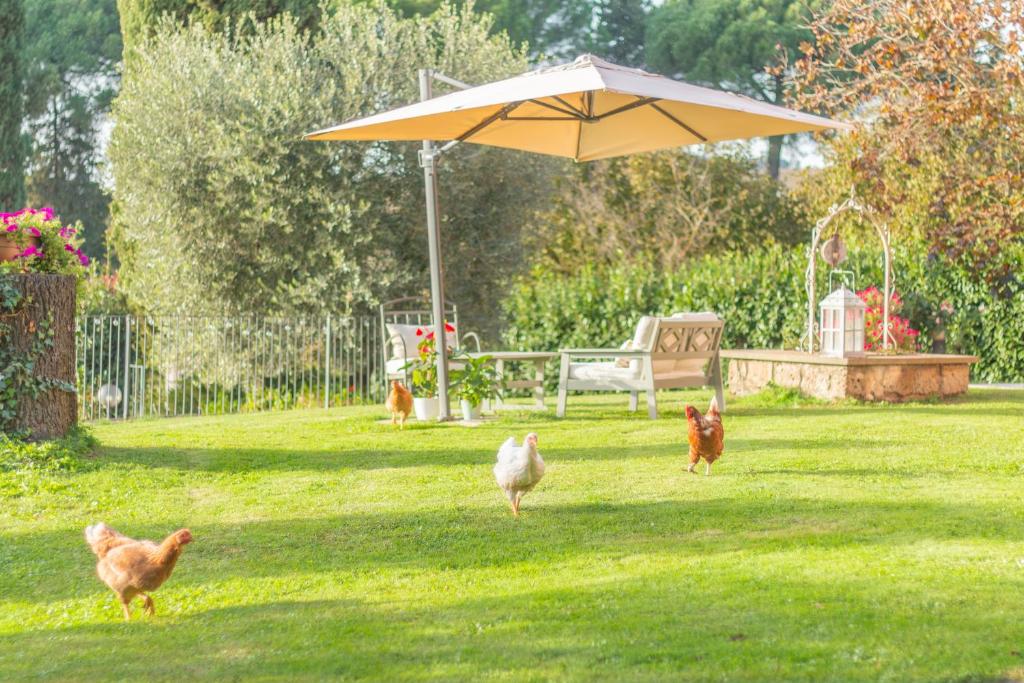 Ai due Cedri- Appartamento Castagno