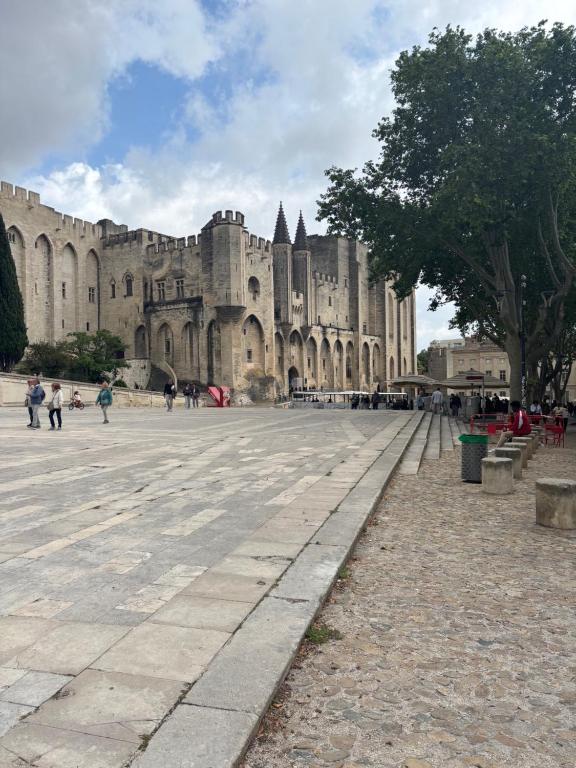 Appartement à 50m du Palais des papes