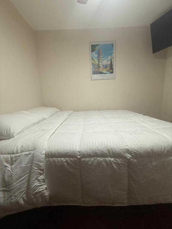 a white bed in a bedroom with a picture on the wall at Hotel boutique Blanca Gazza in Arica