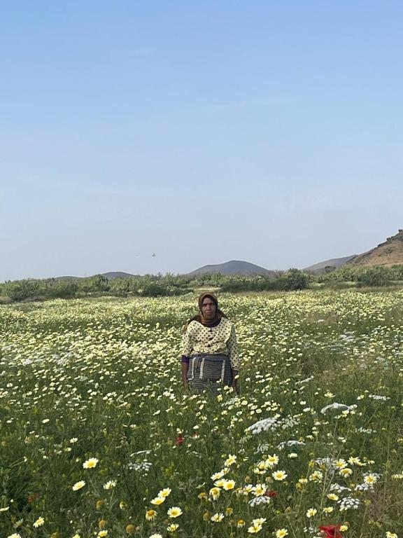 a man sitting in a field of flowers at Chez Malika in Oulad el Guern