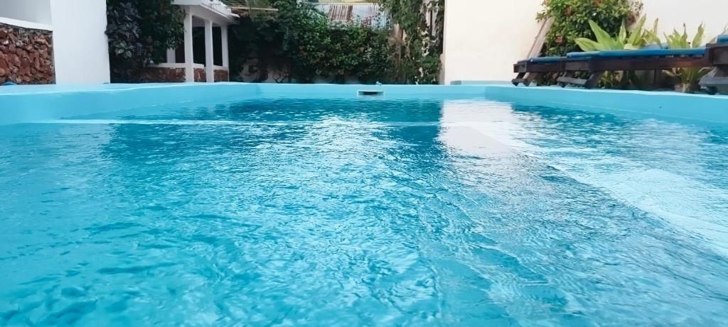 a swimming pool with blue water in a building at primavera jambiani in Mfumbwi