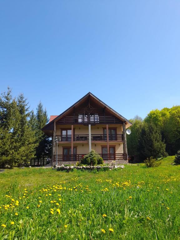 a house on a hill with a field of flowers at Cabana Andrea in Arpaşu de Sus