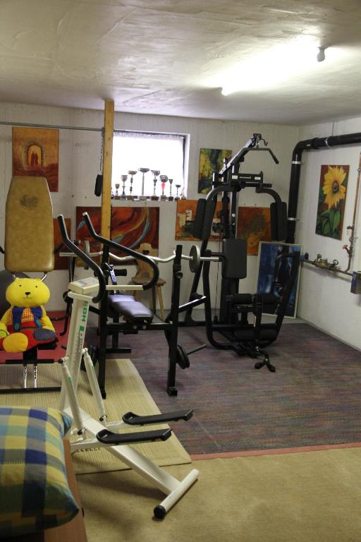 Posilňovňa alebo fitness centrum v ubytovaní Ferienwohnung Bliem