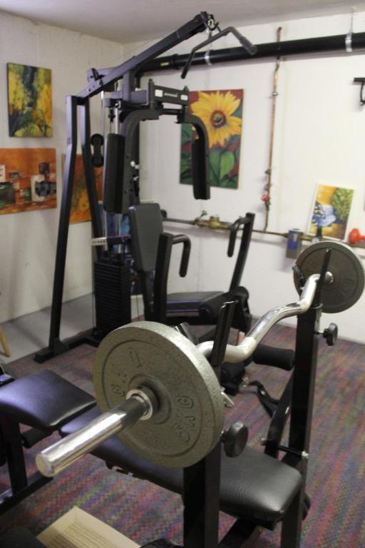 Posilňovňa alebo fitness centrum v ubytovaní Ferienwohnung Bliem
