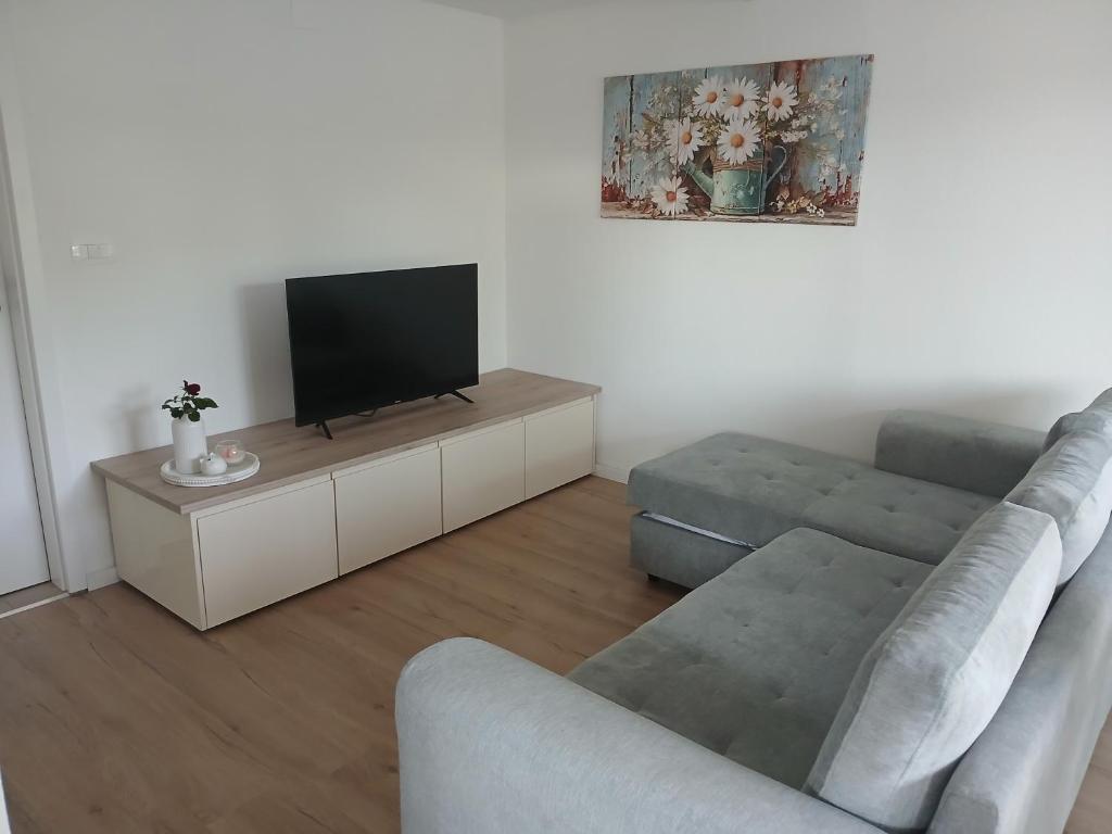a living room with a couch and a flat screen tv at Apartmaji pri Pinku in Breginj