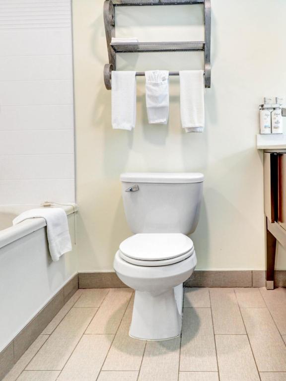 Holiday Inn - Piscataway - Somerset by IHG - Standaardkamer Met Twee Queensize Bedden