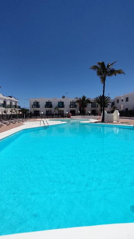 a large blue swimming pool with a palm tree and buildings at NEW AVATEA Parque Natural, piscinas y tennis in Corralejo