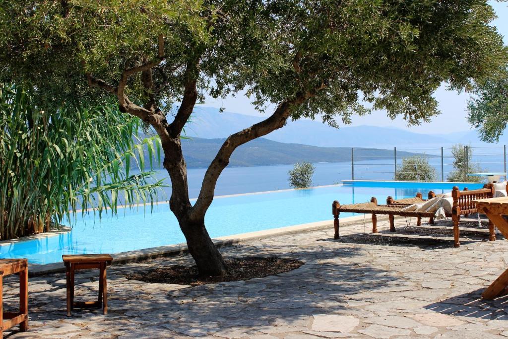 a tree sitting next to a swimming pool at Cielo in Lygia