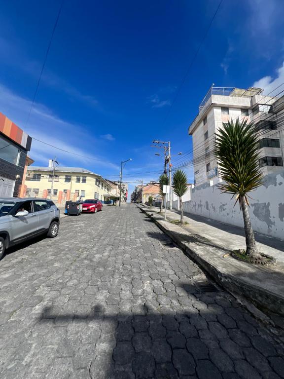 a cobblestone street with a palm tree and buildings at Suite Acogedora Centro de Tulcán in Tulcán