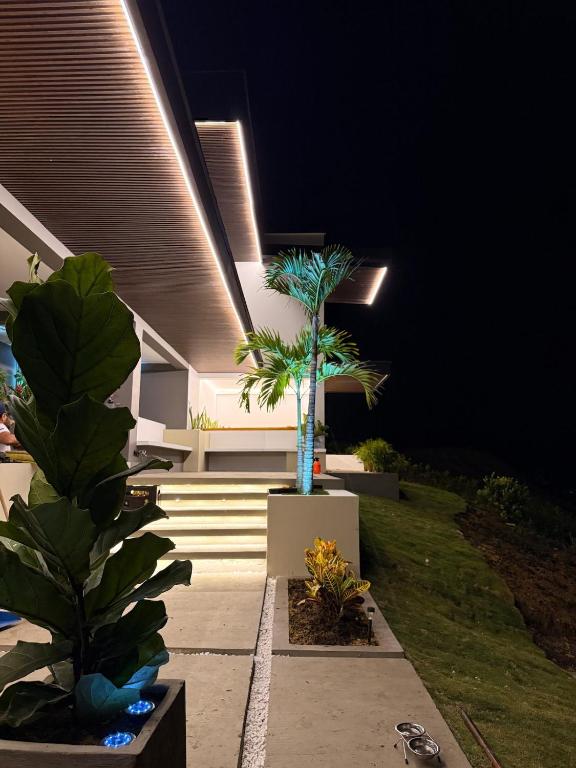 a patio at night with palm trees and plants at Altavista Cabin Rest House in Barbosa