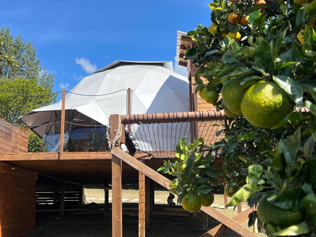 a tree house with a white tent on a wooden deck at Glamping oriente antioqueño in San Vicente