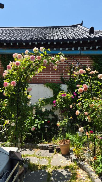 Gyeongju Sugi's Guesthouse - 
