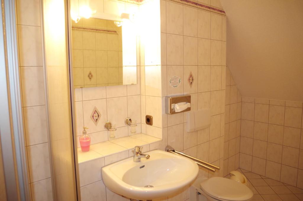 Hotel Alttolkewitzer Hof - Resim 31