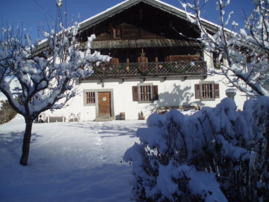 Appartement St Nicolas - Housity