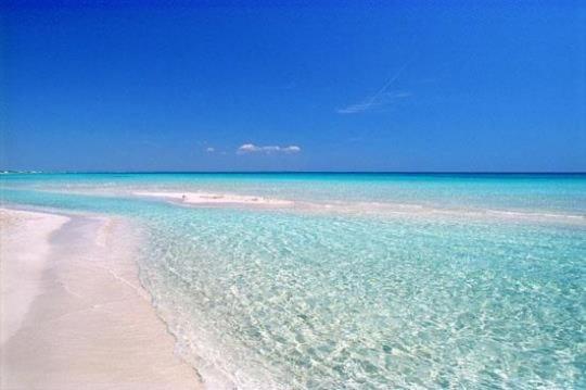 una playa con agua clara y un cielo azul en Resort dei Lillà Pugliaresort, en San Pietro in Bevagna