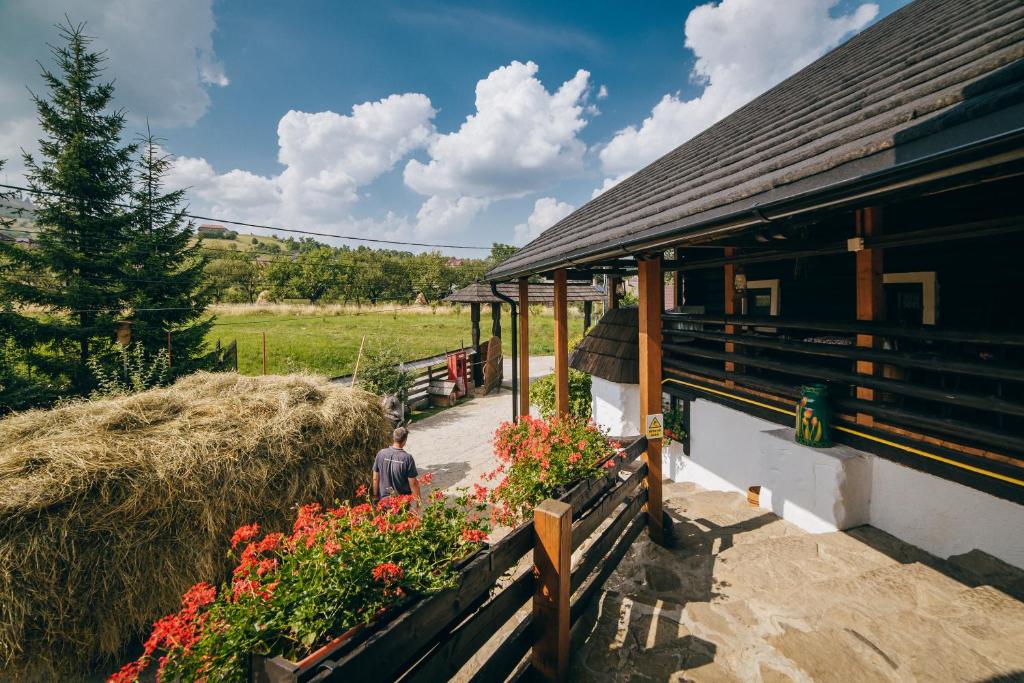 Zahrada ubytování Pension La Roata
