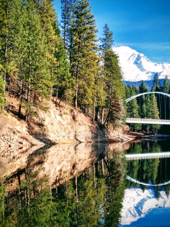 a bridge over a river with trees and a mountain at Anissa Shasta Hostel in Weed