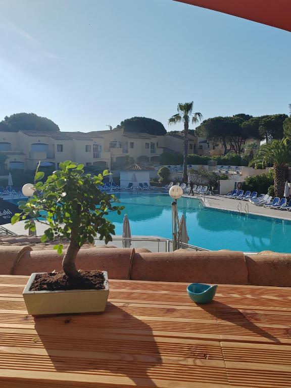 Studio climatisé dans résidence Odalys avec piscine