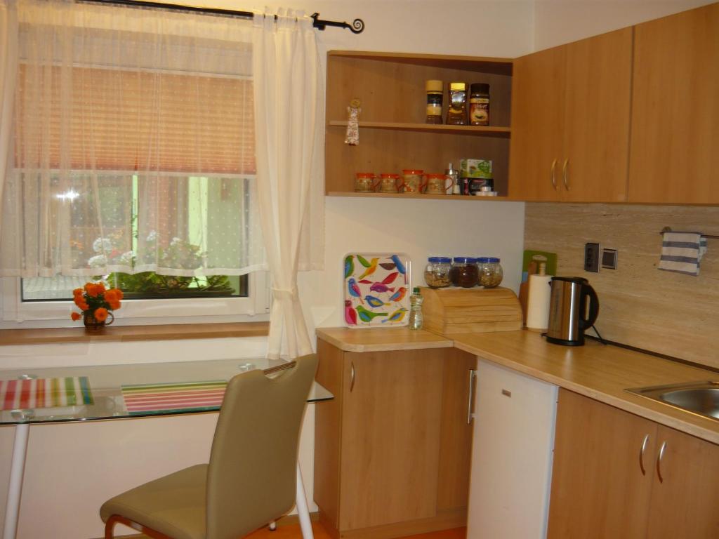 Kuchnia lub aneks kuchenny w obiekcie Apartments - Penzion Lena