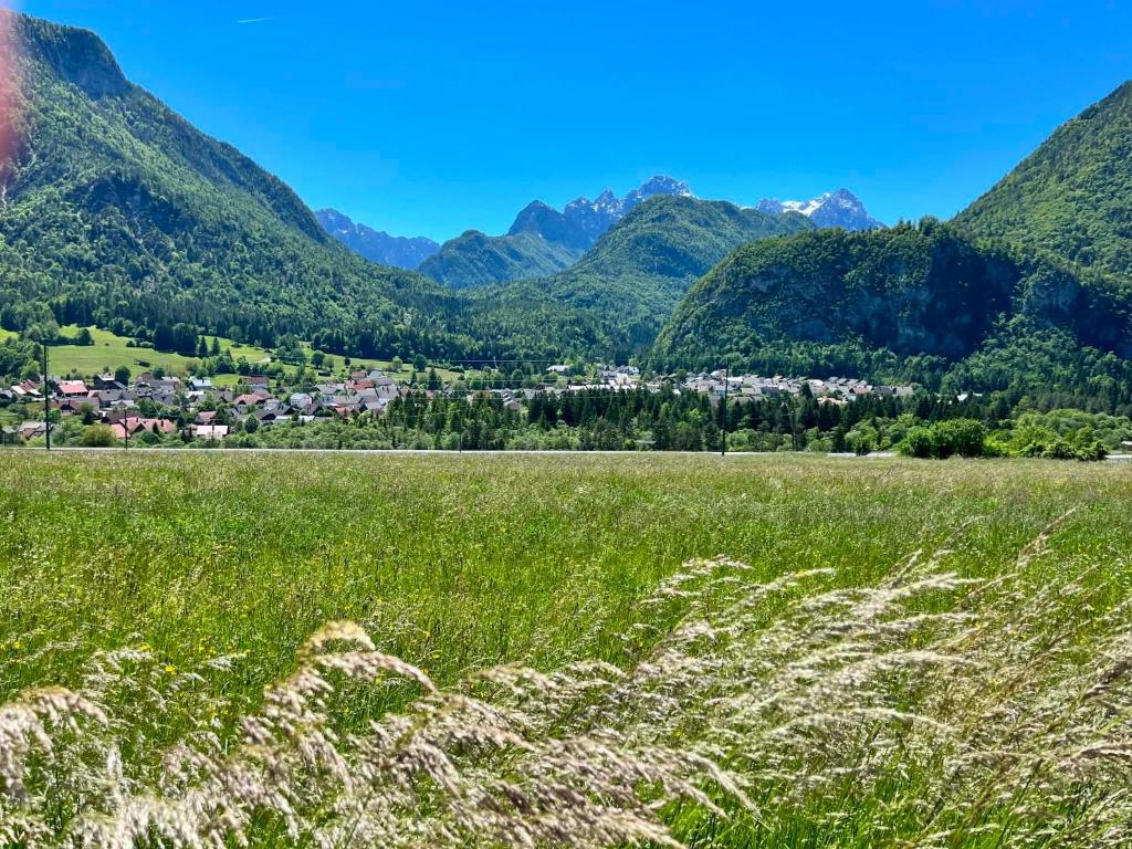 a field of grass with mountains in the background at Apartma Tri Planike in Mojstrana