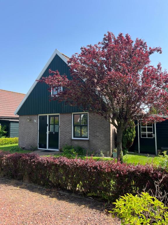 a house with a red tree in front of it at Eilantgeluk in Oudesluis