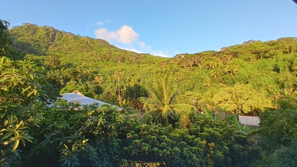 Chalet Familiale Vue Mer et Coucher de Soleil Moorea - photo 9 - Moorea, Polynésie