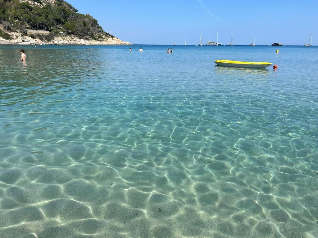 a group of people in the water at a beach at Appartamento Ortensia in Fetovaia