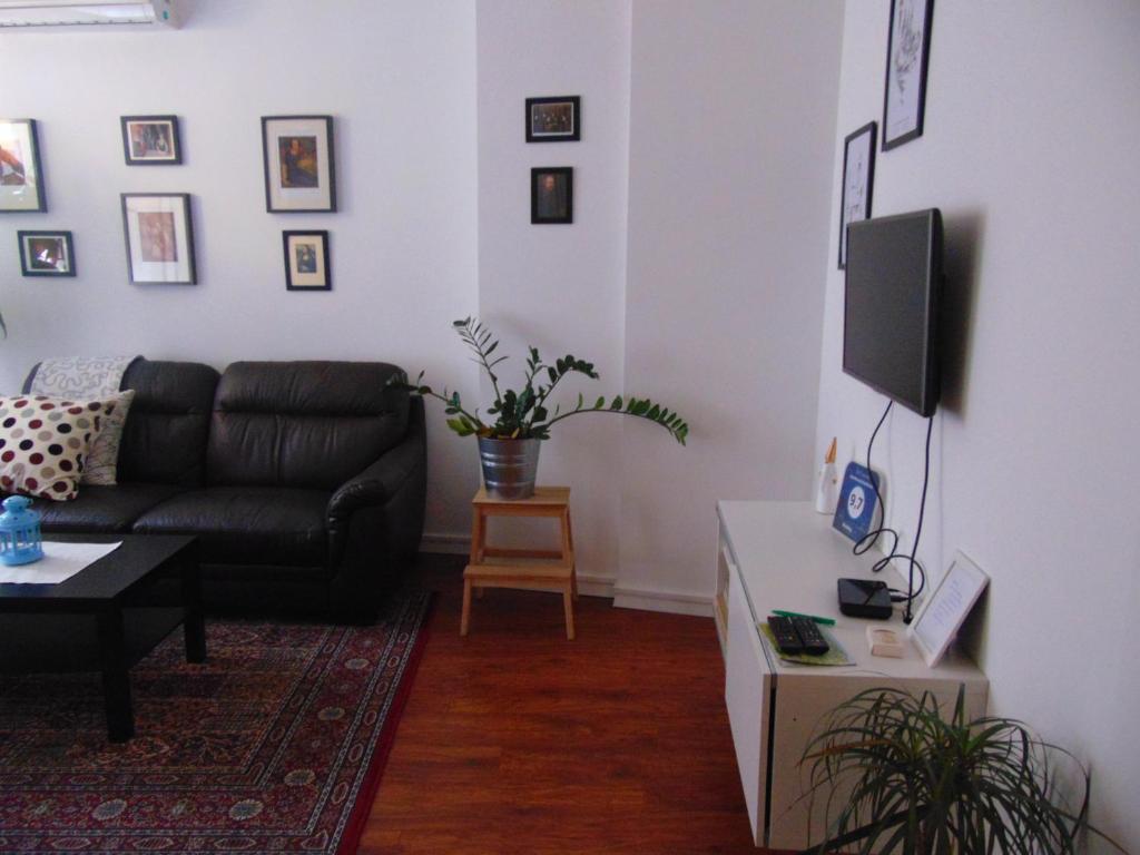 Apartments Radićeva - 6