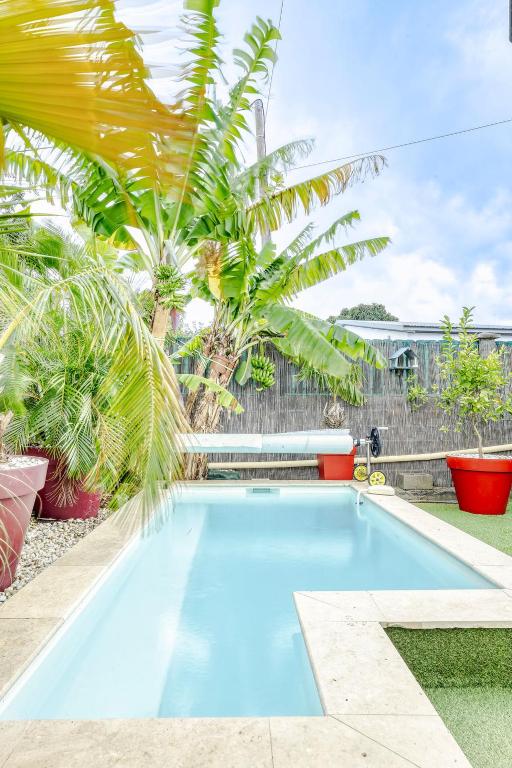 a swimming pool in a yard with palm trees at Villa Cardinal in Saint-Louis