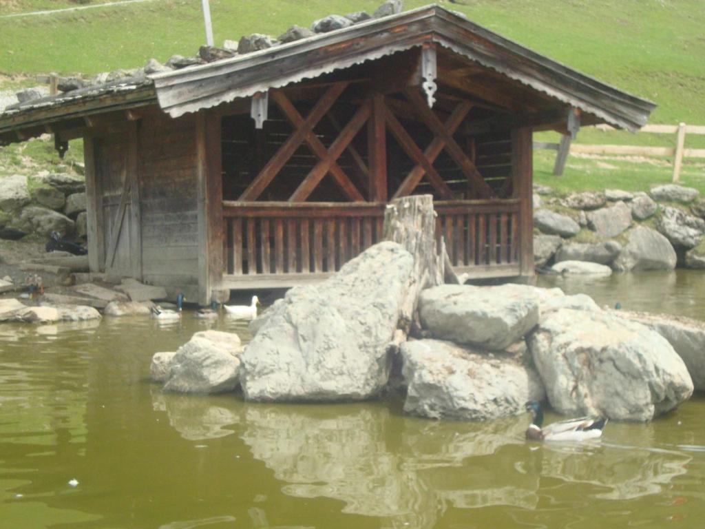 Příroda nedaleko apartmánu