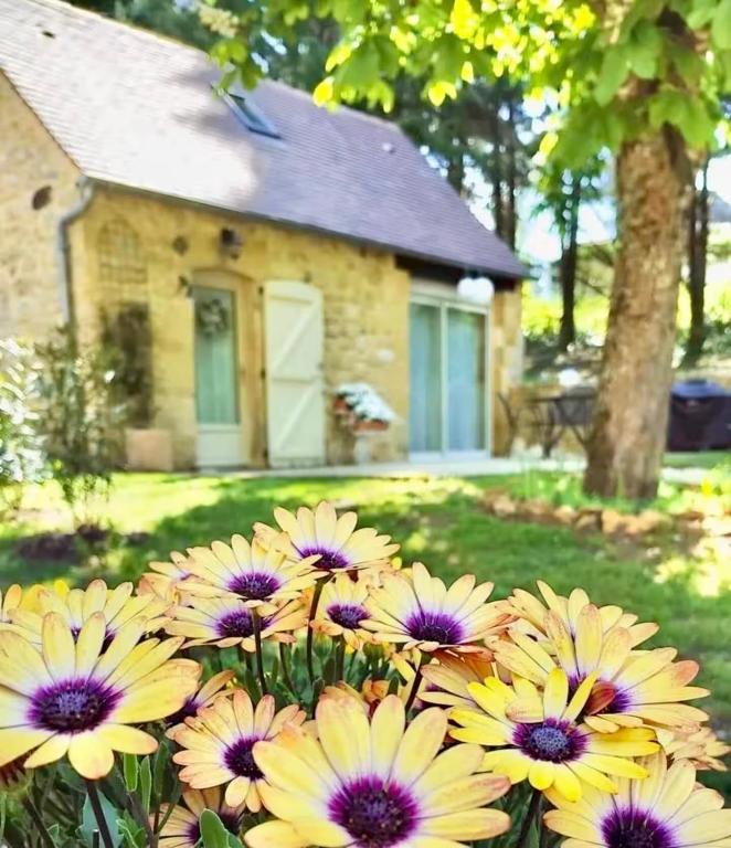 a bunch of flowers in front of a house at Gîte du Moulin de Maître Pierre in Payrignac