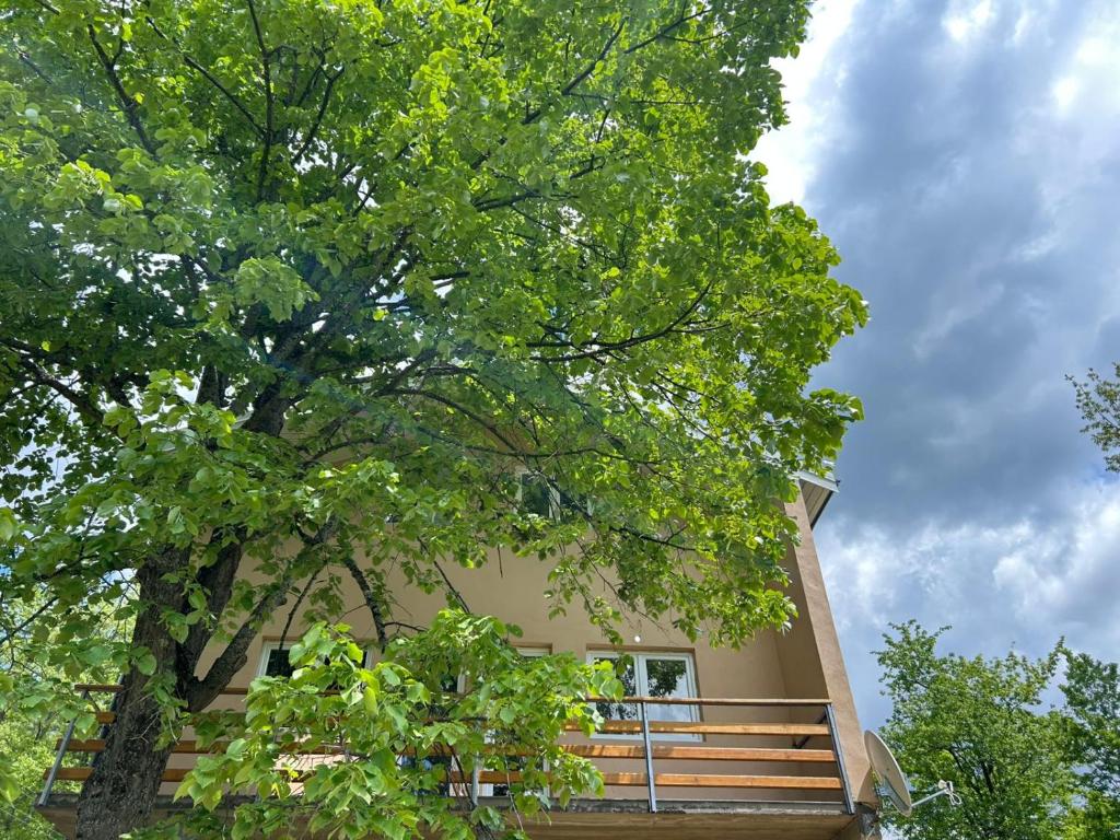 Zgradba, v kateri se nahaja apartma