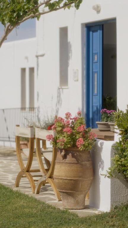 a bench and flowers in a pot in front of a building at Spanos Apartments - Andros in Agios Petros