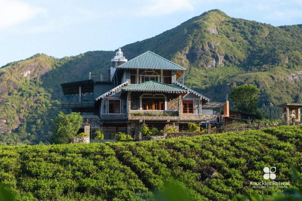 a house in the middle of a vineyard with a mountain at Knuckles Retreat in Huluganga