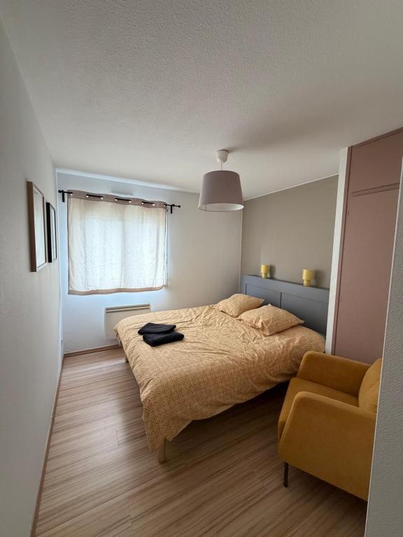 Le cocon de l'Europe - Mulhouse Centre – photo 2