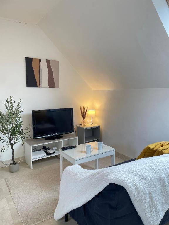a living room with a tv and a table at L'écrin de marbre, hyper centre, PARKING in Quimper