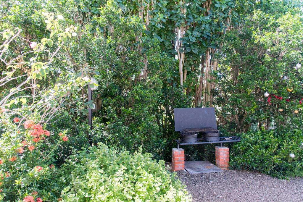 a laptop computer sitting on a table in a garden at L'escapade in Sainte-Anne
