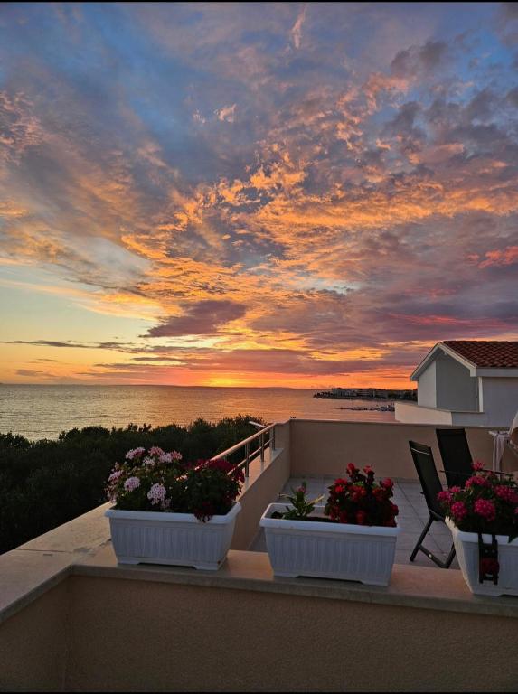 three pots of flowers on a balcony with a sunset at Guesthouse Maro in Povljana