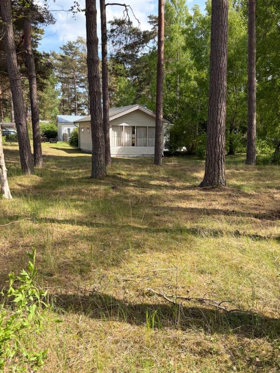 a house in the middle of a field with trees at Havsnära fritidshus in Åhus