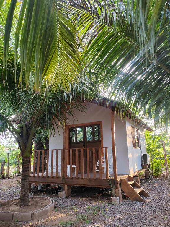 a small house with a palm tree in front of it at Jimmys cabins in La Periquera