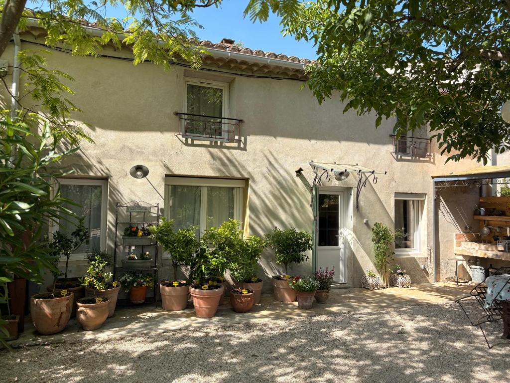a group of potted plants in front of a building at Mas des garrigues in Bouchet