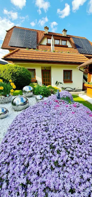a field of purple flowers in front of a house at Apartment Katzensilber in Rothenthurm