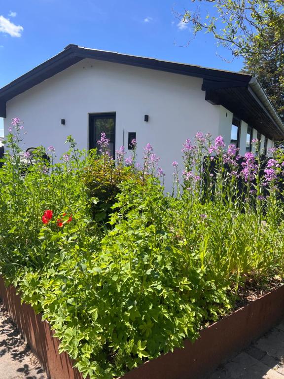 a garden of flowers in front of a house at House with a lovely location in Børkop