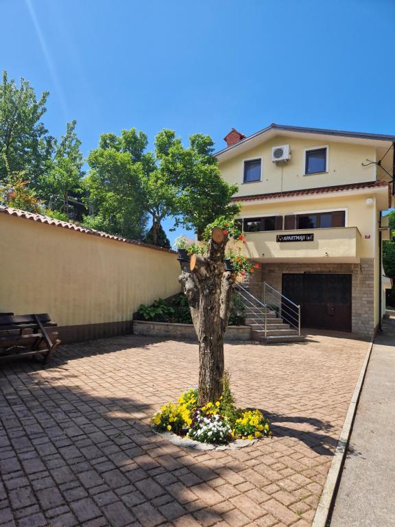 a tree in the middle of a brick sidewalk at Apartmaji I&E in Sežana