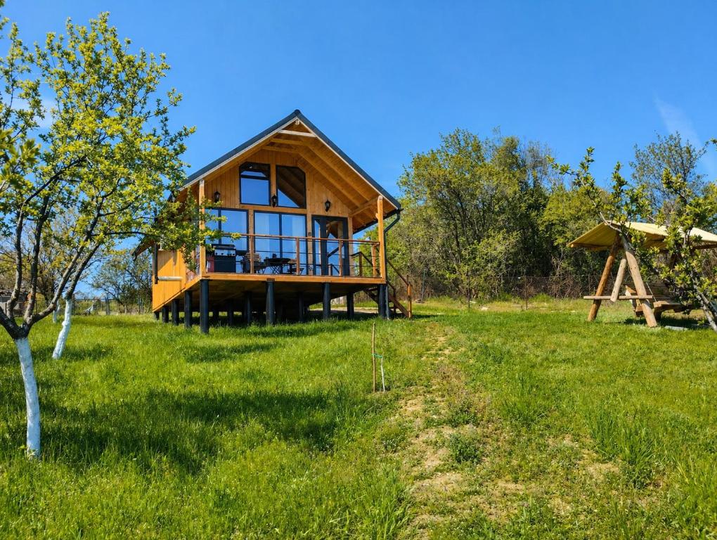 a small wooden house in a field of grass at Cabana Valea Brazilor in Tutana