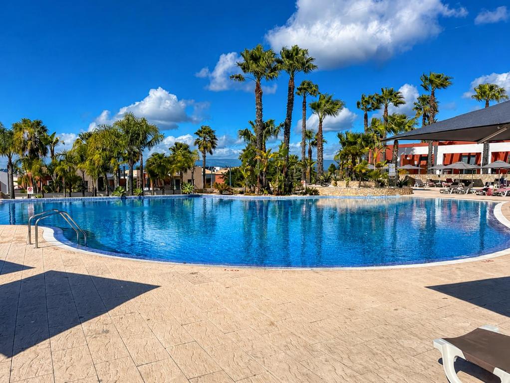 a swimming pool at a resort with palm trees at Vila Rio DOuro in Ferragudo