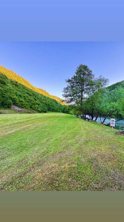 a green field with a tree and a sign in it at Auto camp Harun&Omar in Orašac
