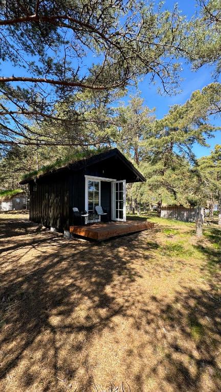 a small cabin with a porch in a field at Ülesaare kämping in Kelnase