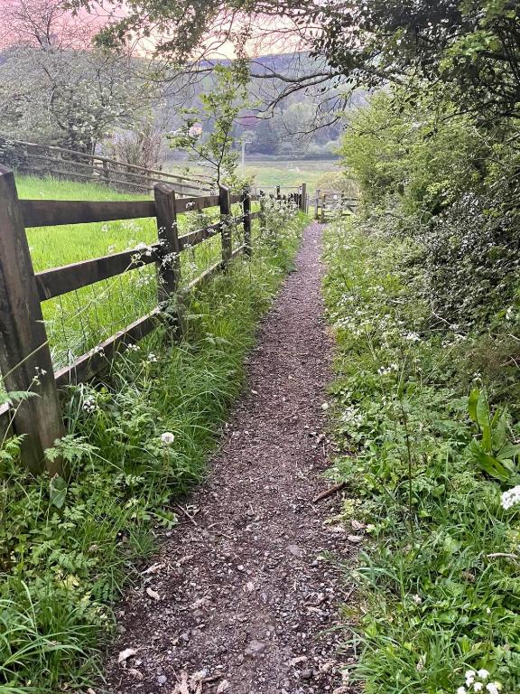 a dirt road next to a fence at Tarka Trail Horsebox - Hot Tub & Pet proof garden in Littleham