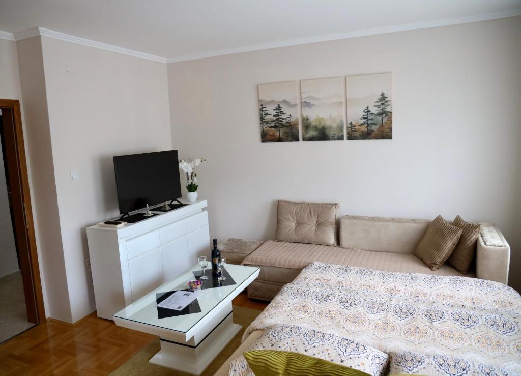 a living room with a couch and a tv at PivApart Plužine in Plužine